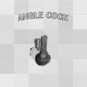 ANGLE COCK