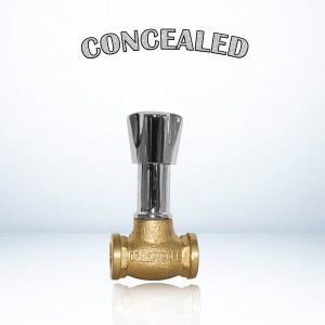 CONCEALED